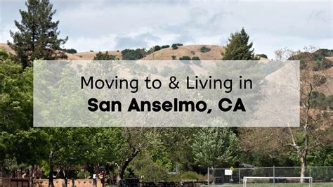 hauling san anselmo|Hauling Services in San Anselmo, CA .